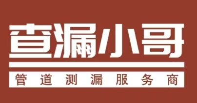 江西查漏小哥科技有限公司